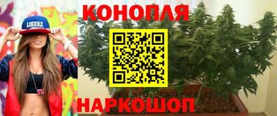 PSILOCYBIN Гулькевичи
